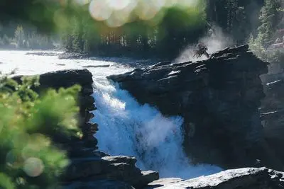 The March 2015 Blog Report