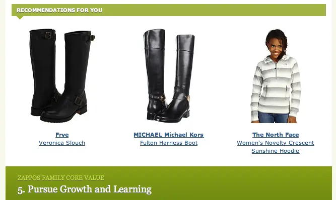 Zappos Upselling Strategy customer lifetime value example