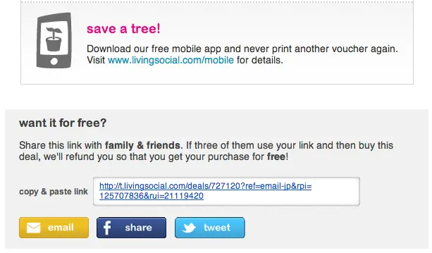 living-social-email-marketing