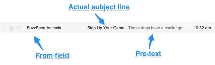 buzzfeed email subject line example