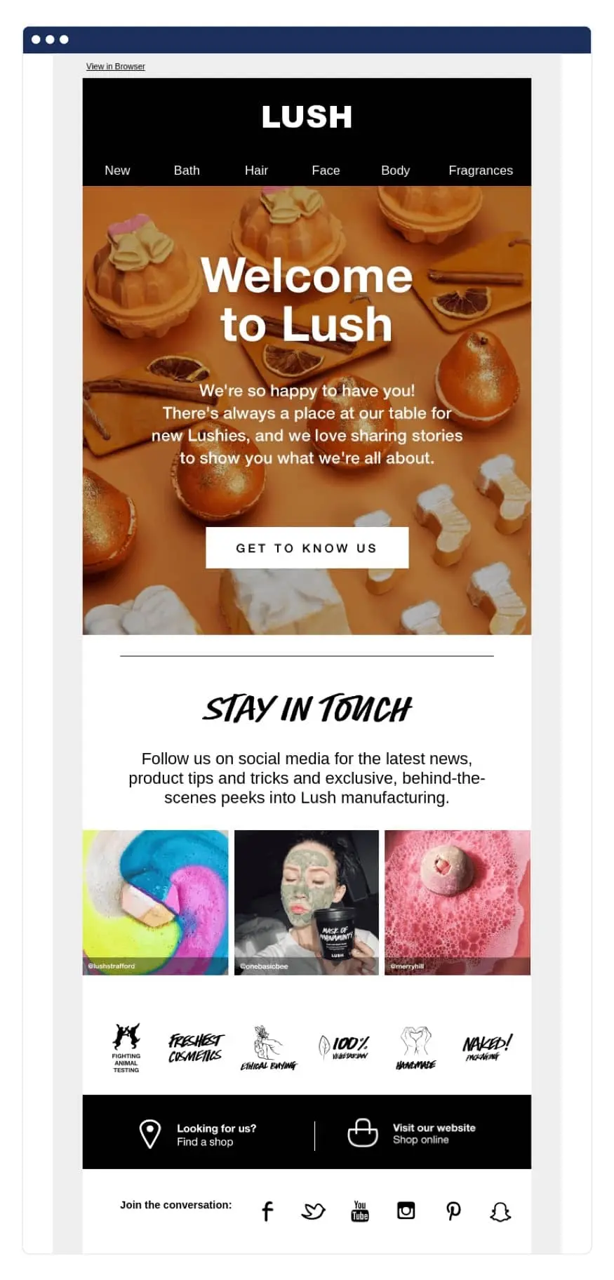 LUSH email marketing KPI example