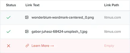 email testing Litmus example